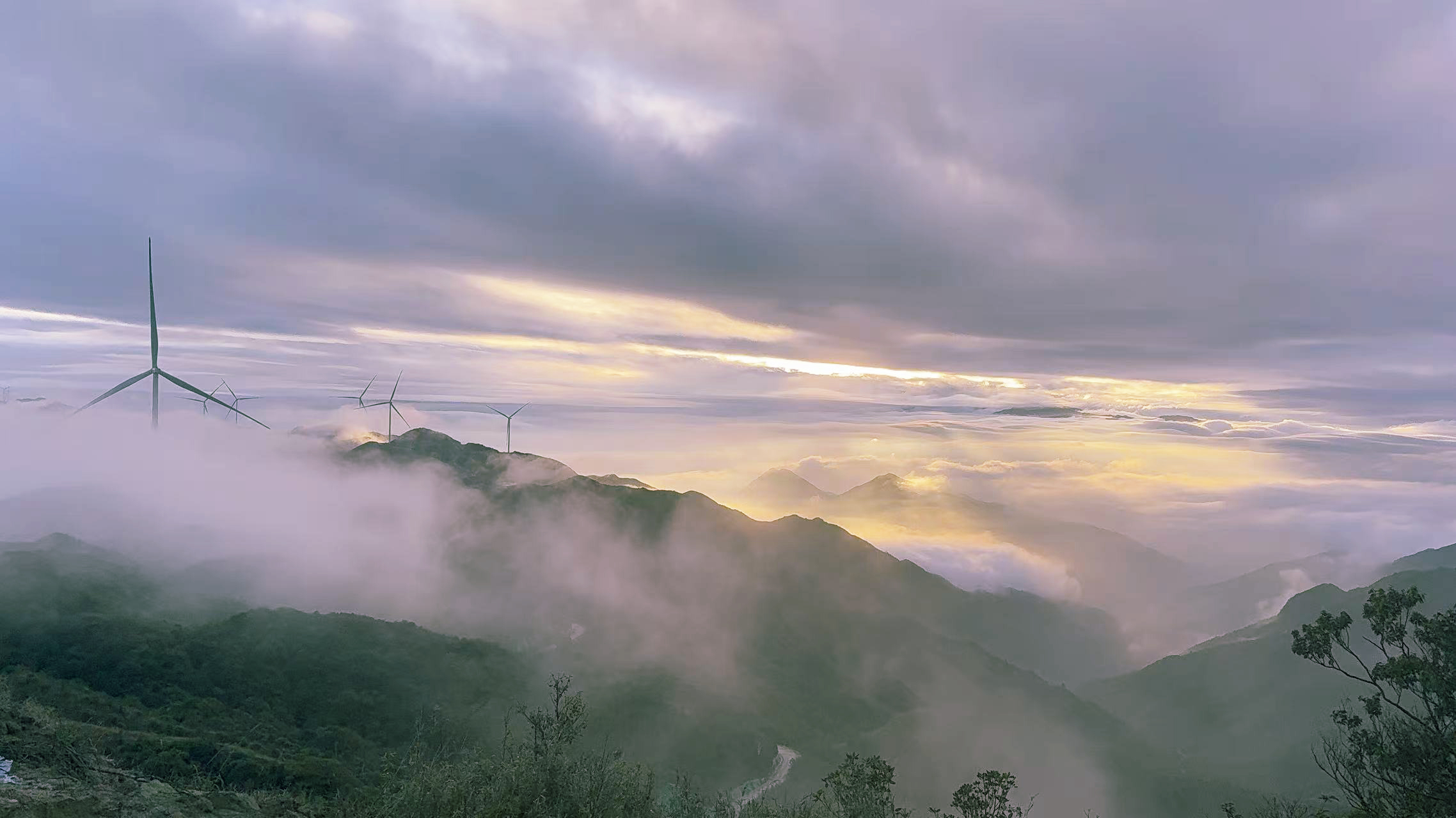 304am永利集团·(中国)有限公司官网